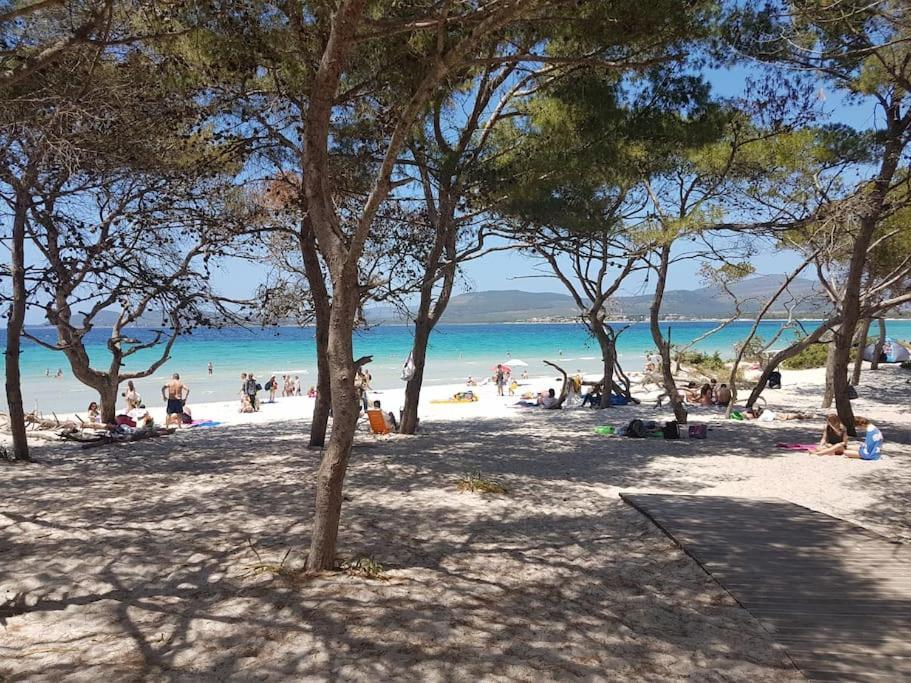 La Perla Bianca - Alghero Lido, Vicino Al Mare Экстерьер фото